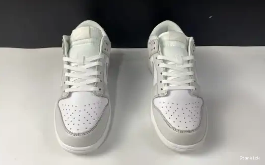 Dust" Dunk "Photon Nike Low DD1503-103 0622